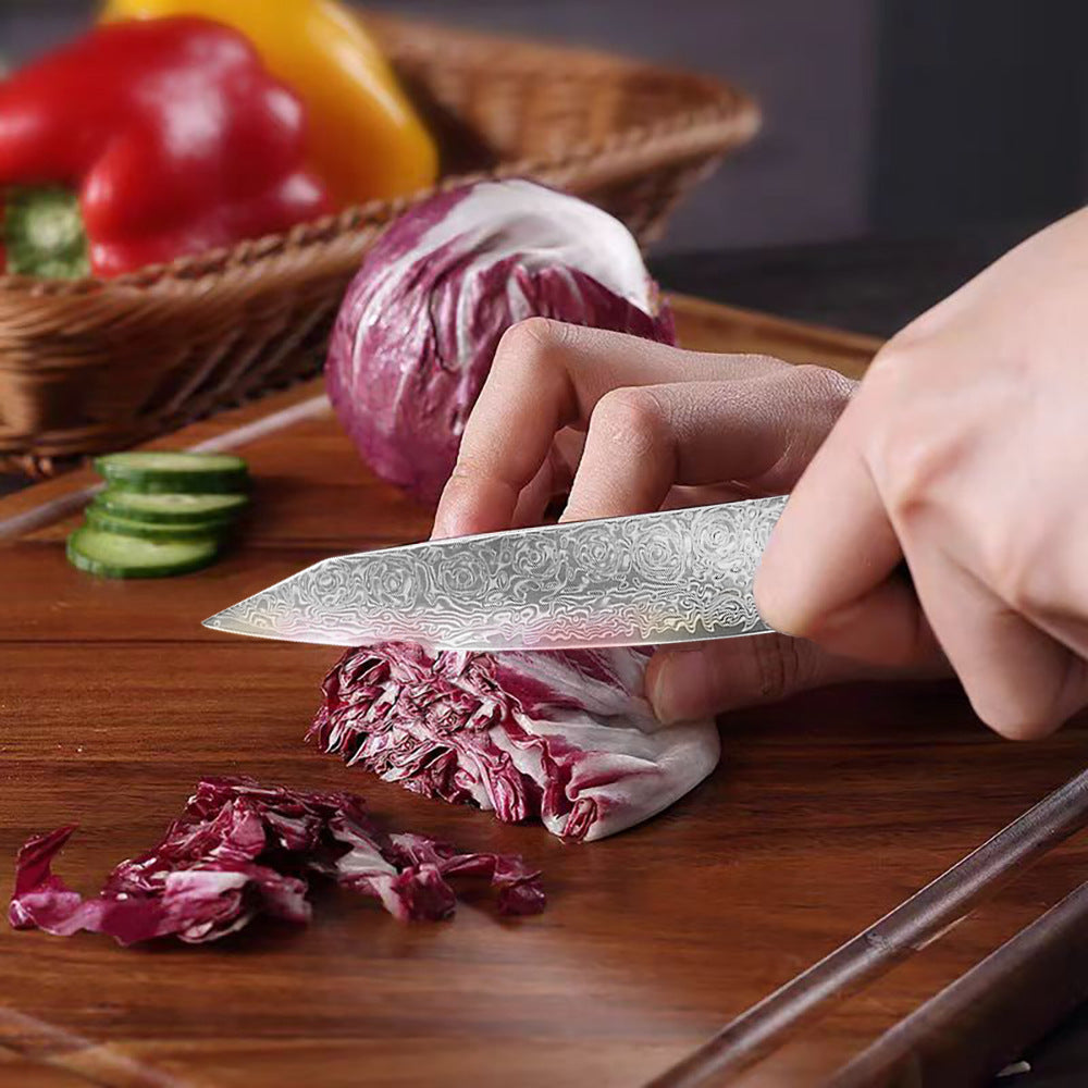 Damascus Steel Home Kitchen Chef Knife